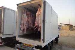 صدور 300 پروانه بهداشتی خودروهای ویژه حمل دام و طیور در دزفول